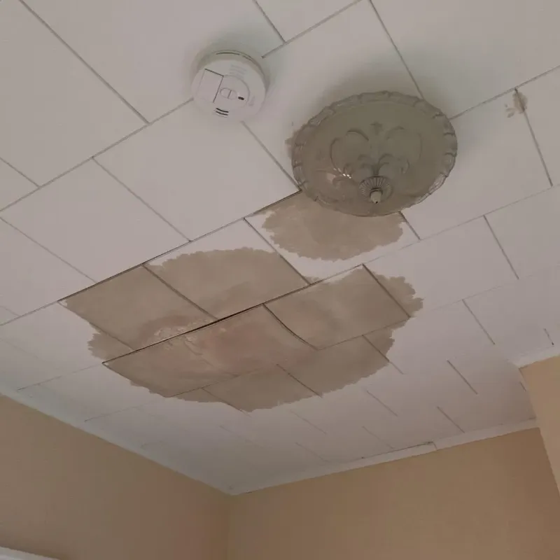 Ceiling Water Damage Repair in Gahanna, OH