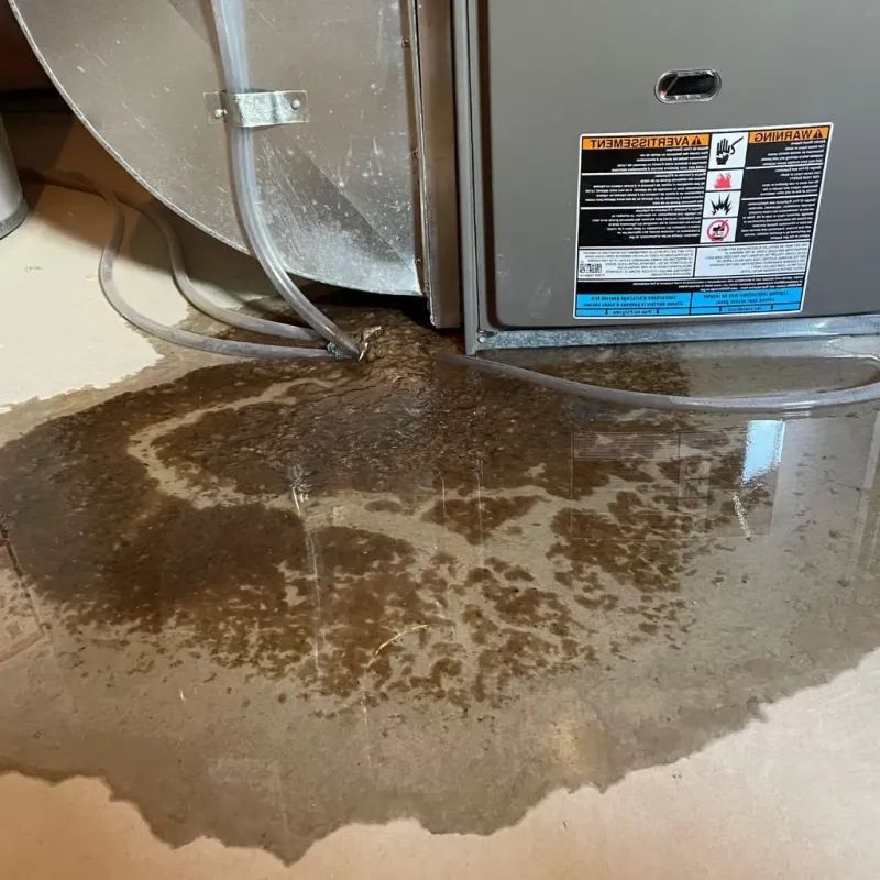 Pipe Burst and Leak Restoration in Gahanna, OH