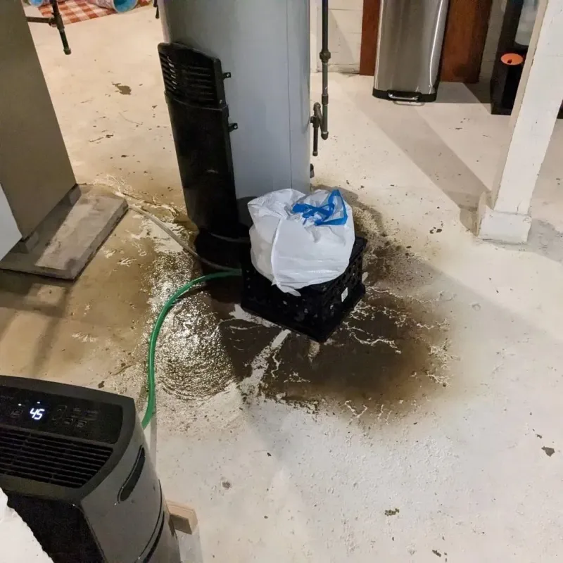 Sewage Backup Cleanup Service in Gahanna, OH